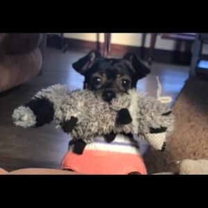 Meet your Posher, Maria de lourdes